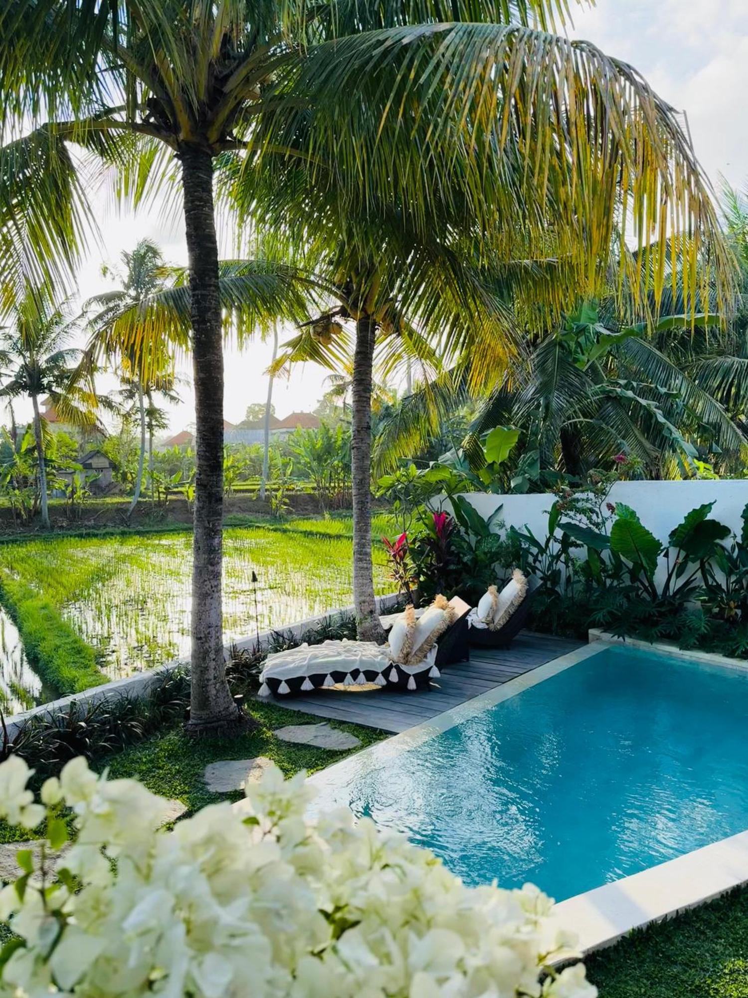 Villa Amara De'Vue Rice-Field Panoramic View W Pool Ig Ubud  Exterior photo