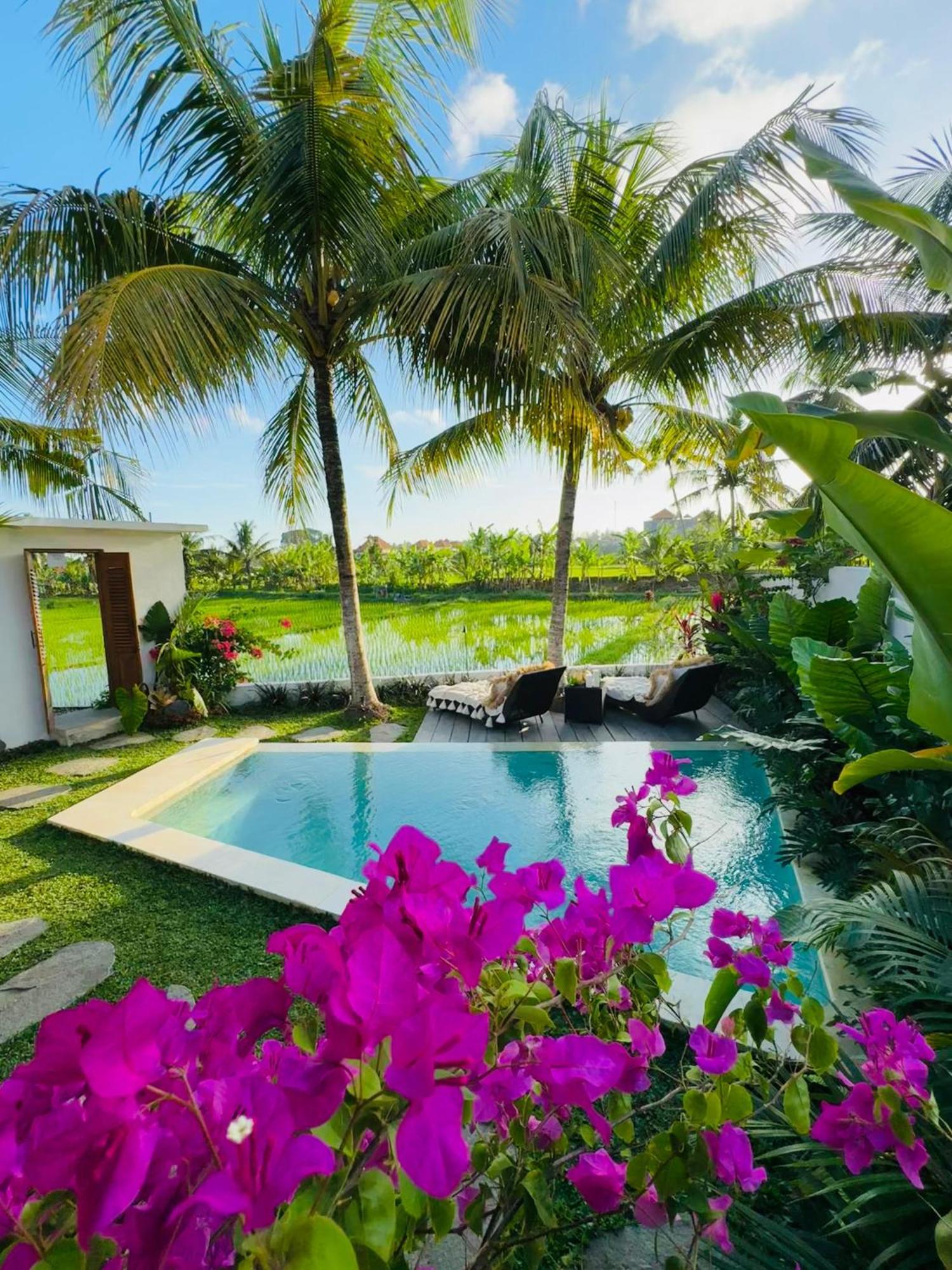 Villa Amara De'Vue Rice-Field Panoramic View W Pool Ig Ubud  Exterior photo